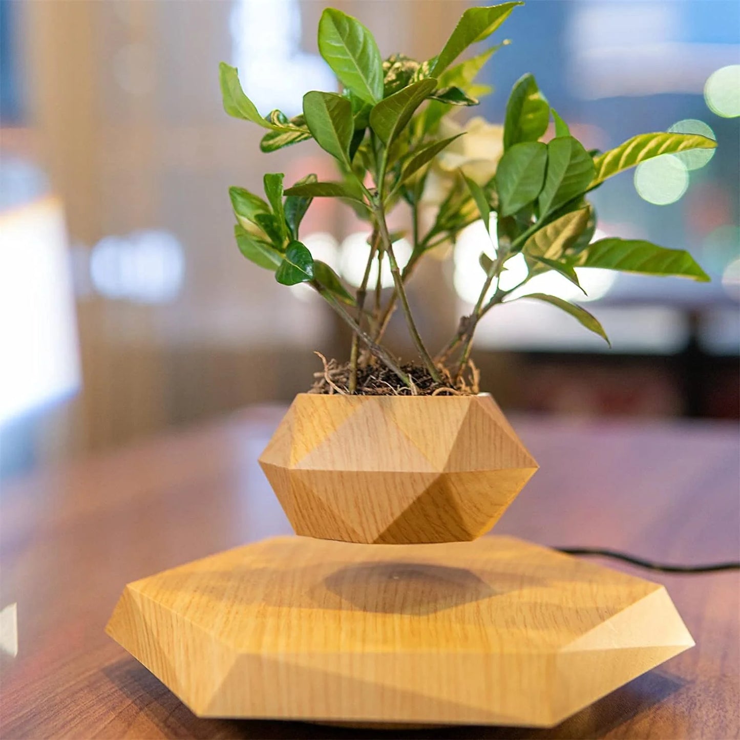 Rotating Magnetic Levitation Flower Pot