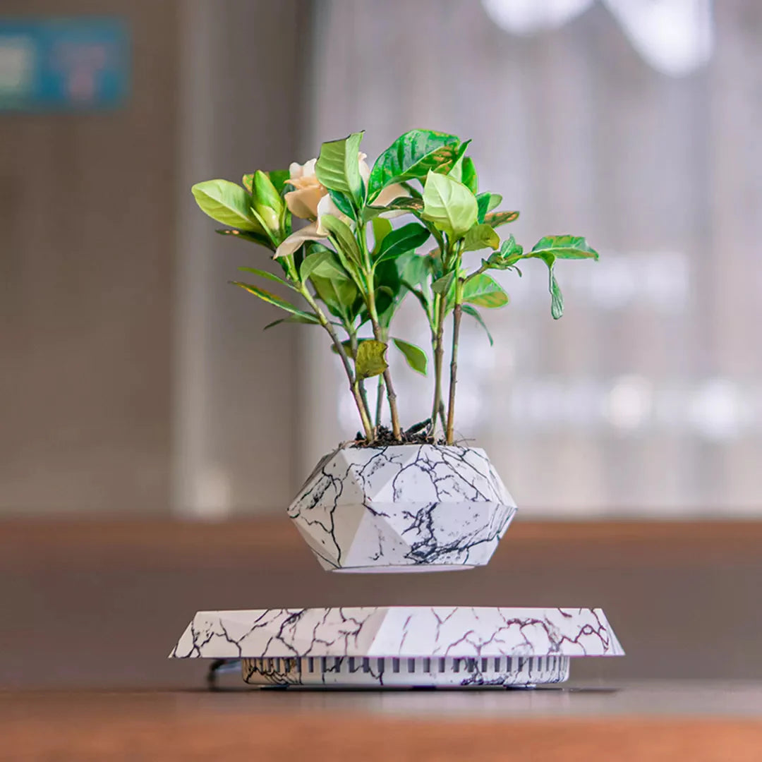 Rotating Magnetic Levitation Flower Pot