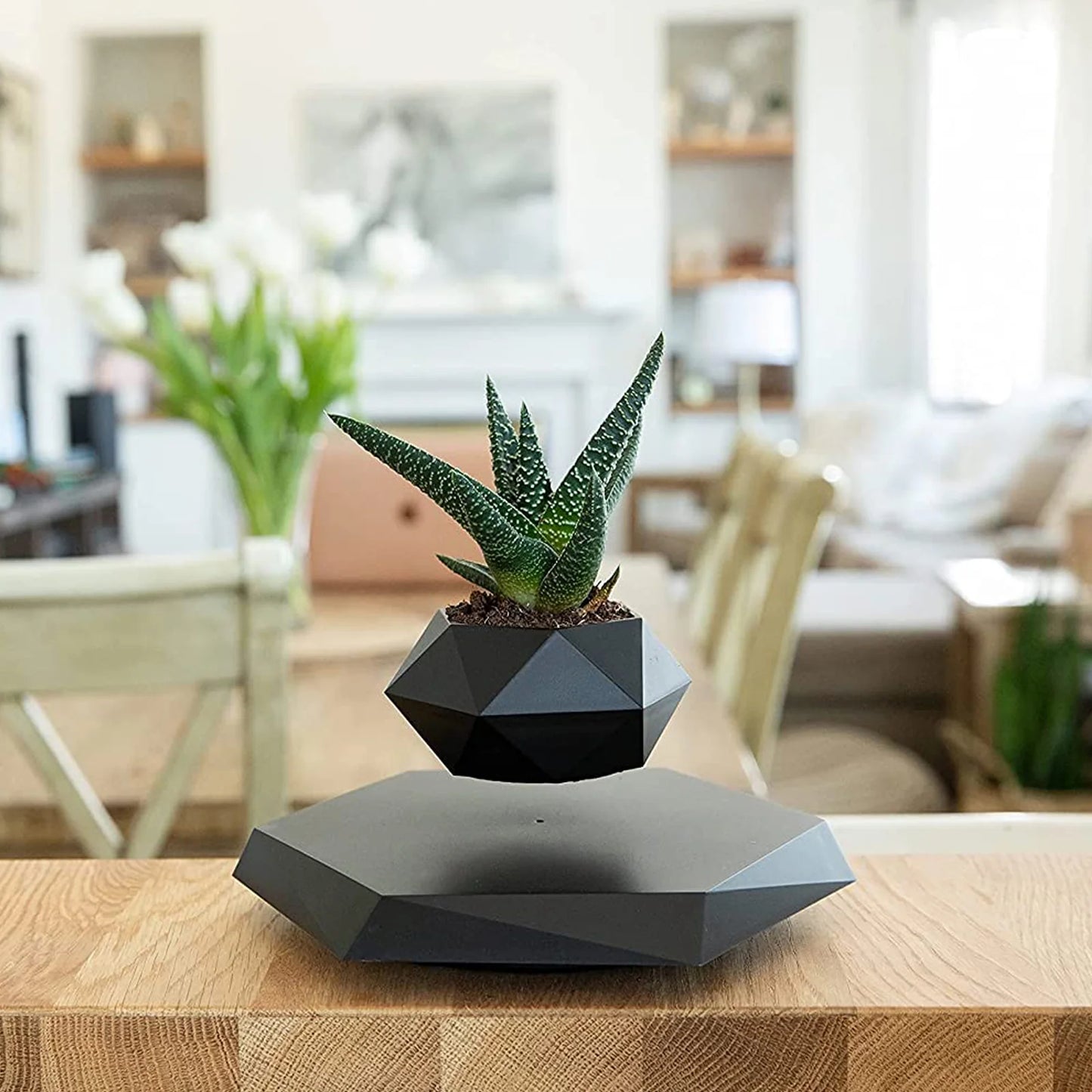 Rotating Magnetic Levitation Flower Pot